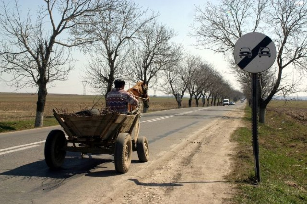 Un bărbat va primi o amendă de până la 25 000 de lei, după ce s-a urcat băut în căruță